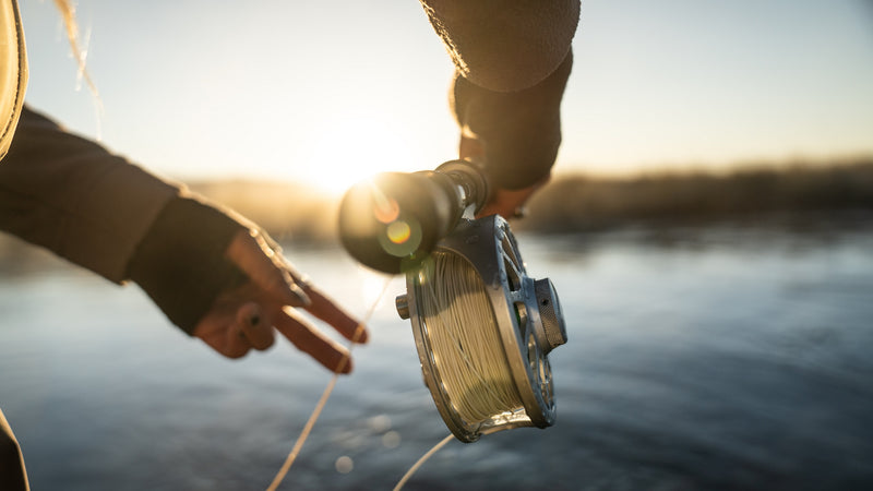 Ecotone là où la chasse et la pêche se rencontrent