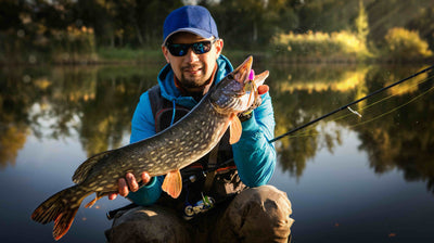 The art of perfectly filleting a pike in 4 minutes