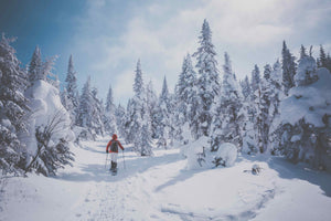 Passion plein air hivernal avec Ecotone