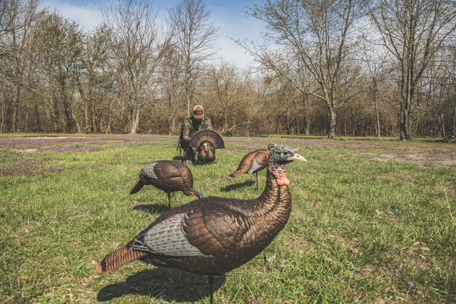 Caller turkey "Thunder Creeper" dominant decoy - Flextone