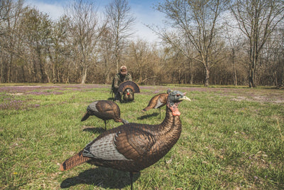 Caller turkey "Thunder Creeper" dominant decoy - Flextone