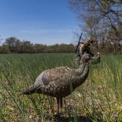 Caller turkey "LCD" breeder hen - Avian X