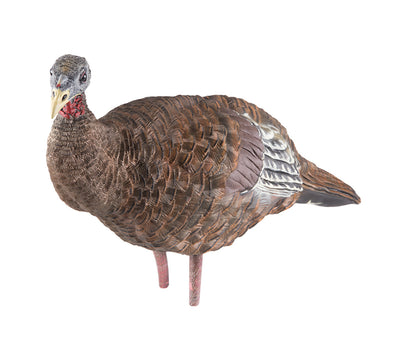 Caller turkey "LCD" breeder hen - Avian X