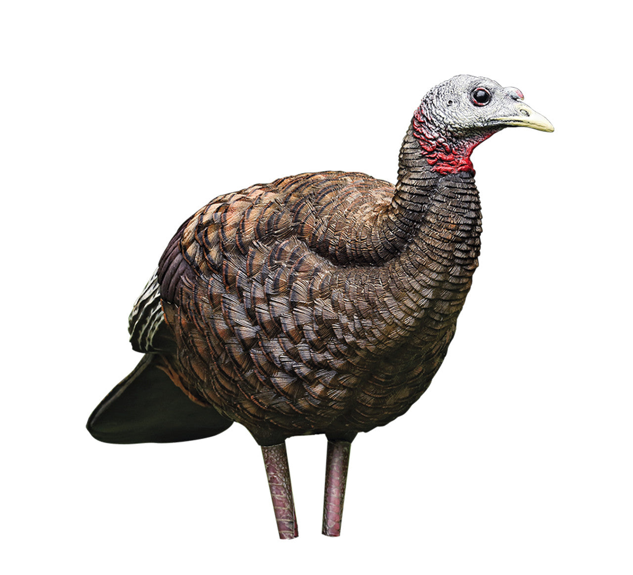 Caller turkey "LCD" breeder hen - Avian X