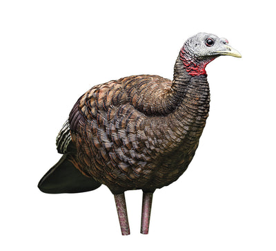 Caller turkey "LCD" breeder hen - Avian X
