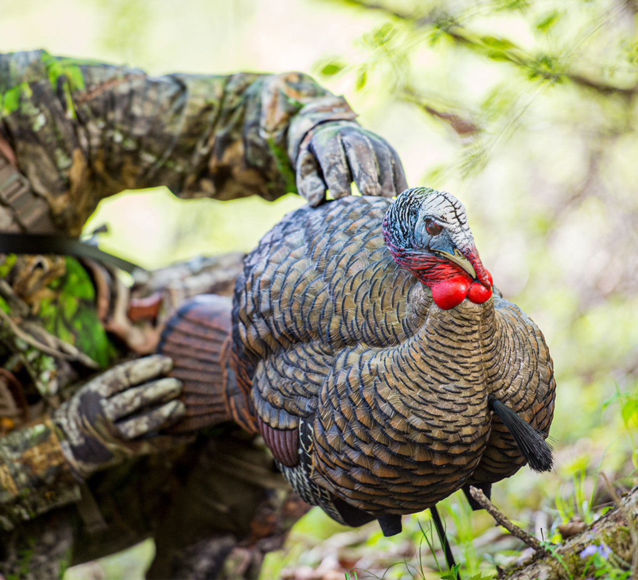 Male Tom Turkey LCD Half-Strut Jake - Avian X