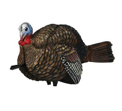 Male Tom Turkey LCD Half-Strut Jake - Avian X