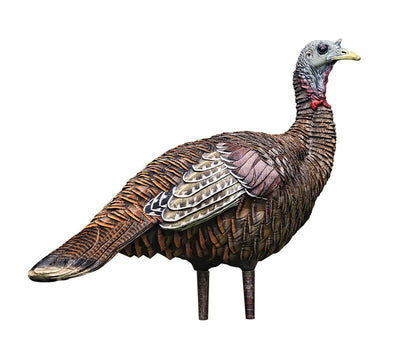 Appelant dindon femelle Lookout LCD Hen - Avian X