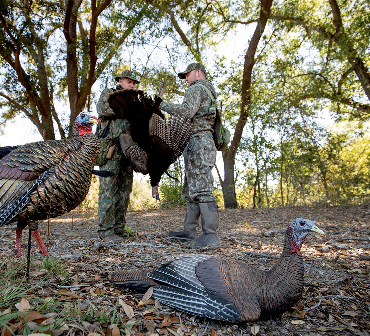 Appellant female Laydown Hen turkey LCD - Avian X