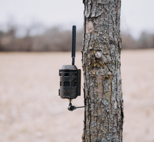 Caméra cellulaire de chasse "Trifecta 180" - Muddy