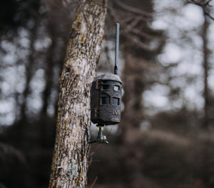 Caméra cellulaire de chasse "Trifecta 180" - Muddy