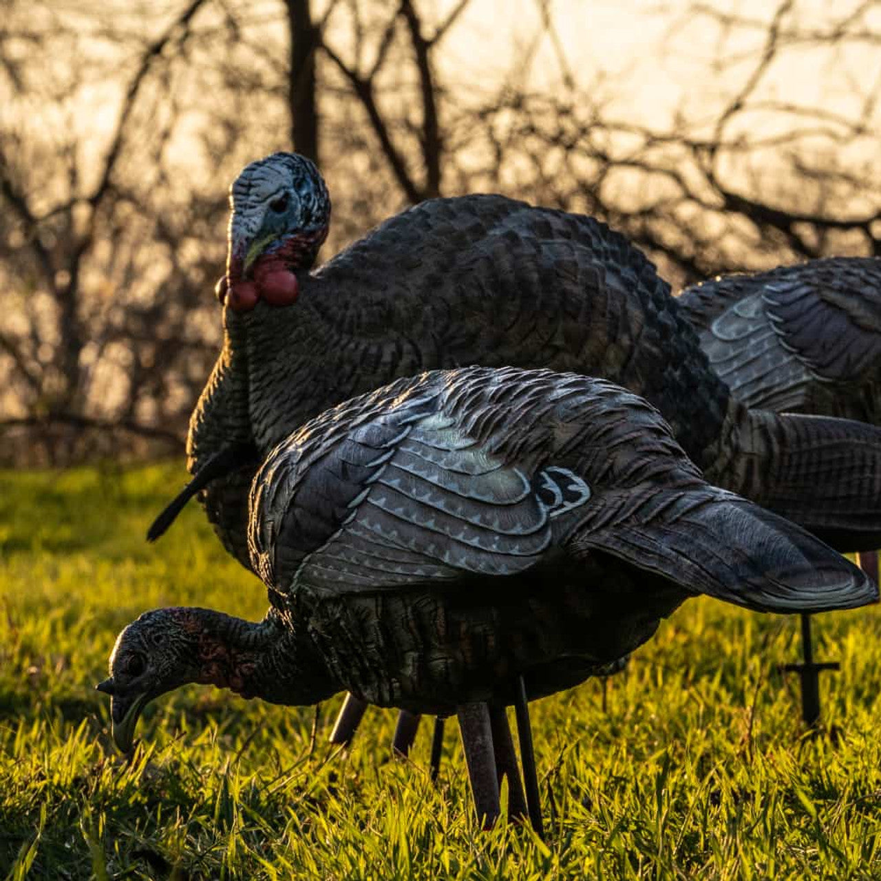 Caller turkey LCD female turkey LCD Feeder Hen - Avian X