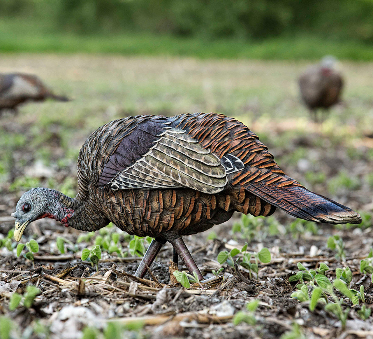 Caller turkey LCD female turkey LCD Feeder Hen - Avian X