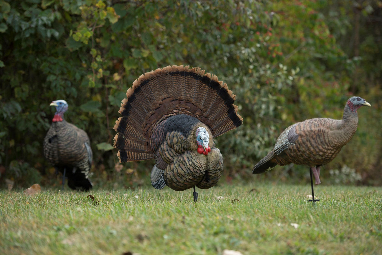 Caller Turkey Trophy Tom - Avian X