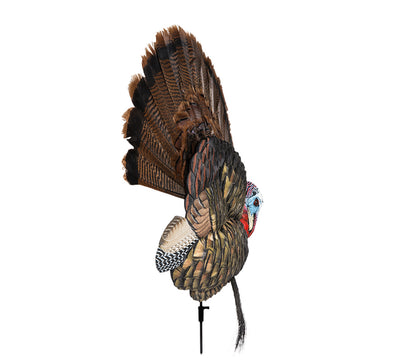 Caller Turkey Trophy Tom - Avian X