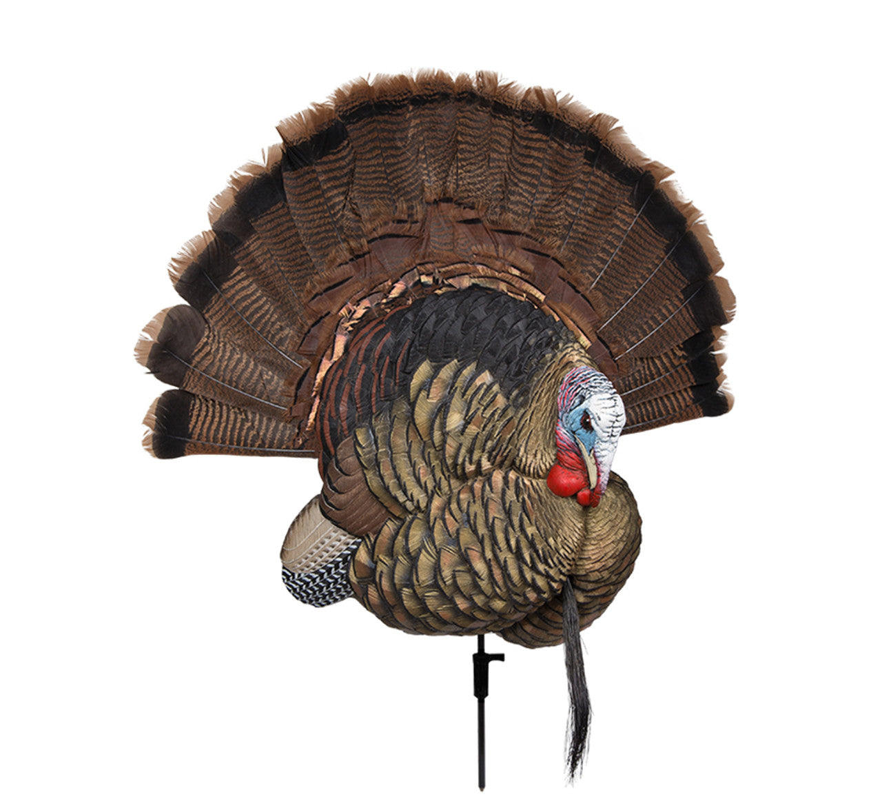 Caller Turkey Trophy Tom - Avian X