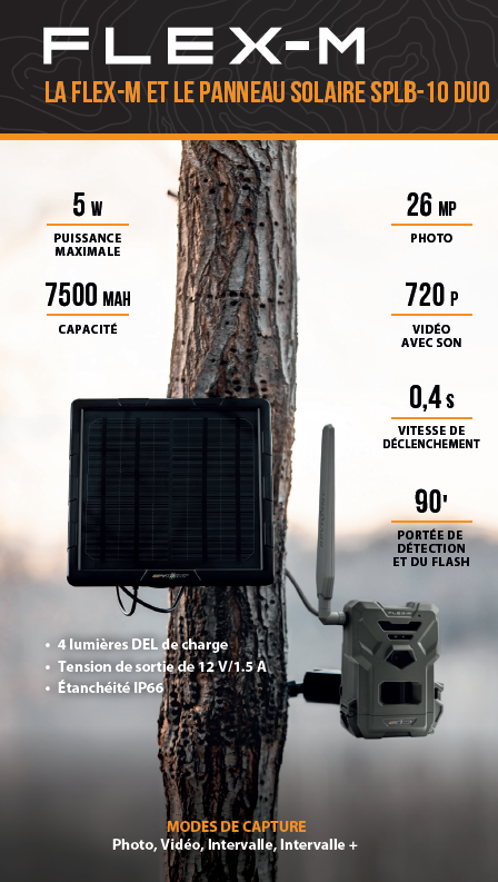 “FLEX-M” hunting camera in SOLAR COMBO - Spypoint