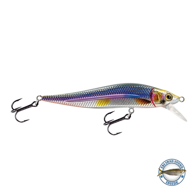 Leurre pour poisson JerkMaster Jr. FW avec son par Livingston créé par des québécois