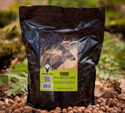 Farine de glands de chêne pour attirer Chevreuils - Glands de chêne