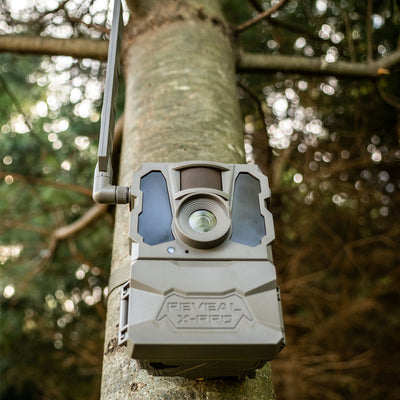 Caméra cellulaire de chasse "REVEAL X PRO" de Tactacam